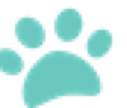 Animals First logo