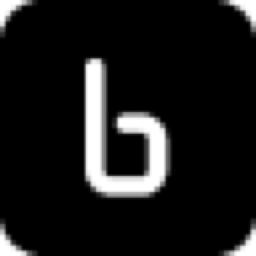 Binarly logo