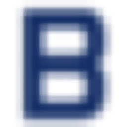 BizteX cobit logo