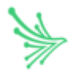 Black Kite logo