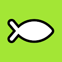 Brainfish logo