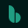 bsport logo
