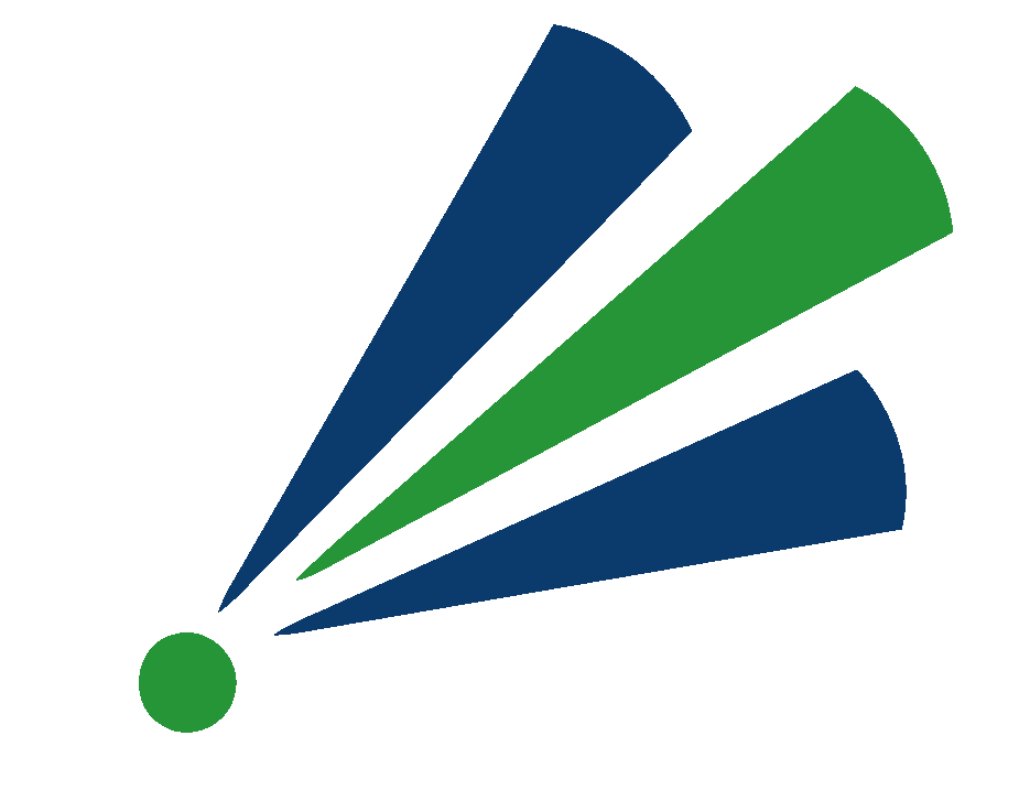 ClearRisk logo