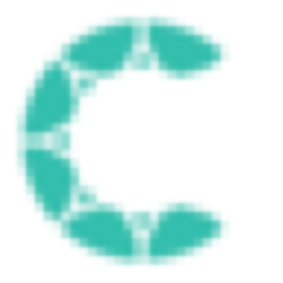 Ctrack logo
