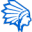 DataCaciques logo