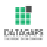 Datagaps logo