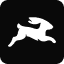 Directus logo