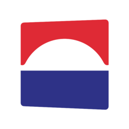 Domesystems logo