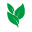 Evergreen logo