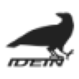 Idein Edge AI logo