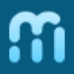 Metric Insights logo