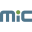 MIC Customs Solutions logo