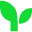 Moneytree logo