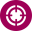 Neo Veterinary Software logo