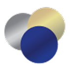 Nirvana Solutions logo
