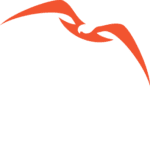 Nisos logo