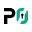 P0 Security logo