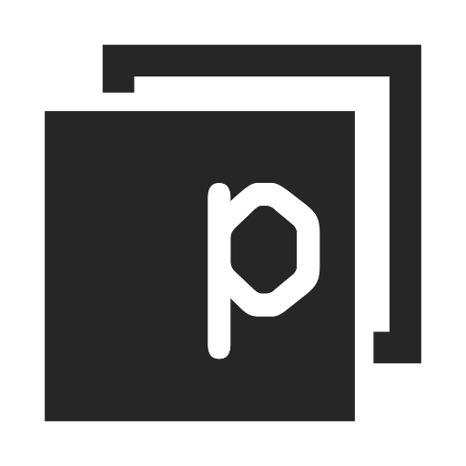 Panaseer logo