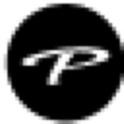 Paradigm Law logo