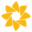 Pimsy EHR logo