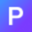 Publy Business logo