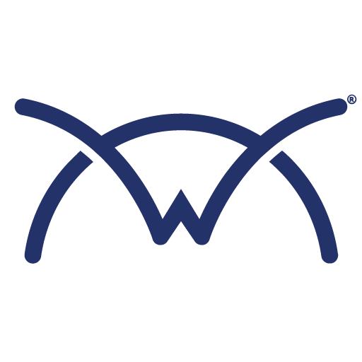 R1Soft logo