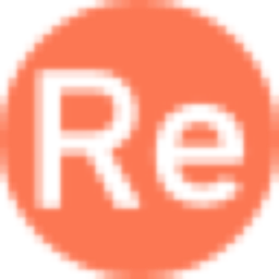 RealEye logo