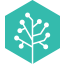 Remarque Systems logo
