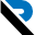 Reprise License Manager logo