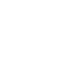 Rox logo