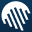 Squalify logo