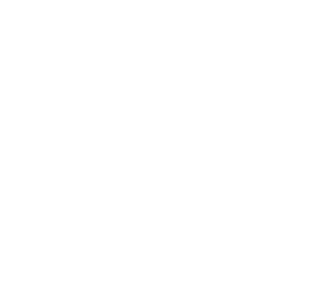 Verenia logo