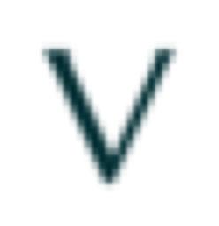 Voyage AI logo