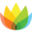 Voyced logo