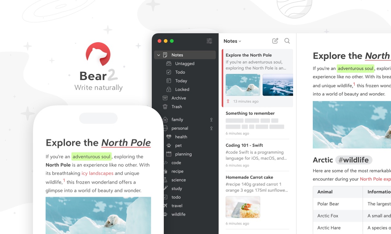 Bear preview