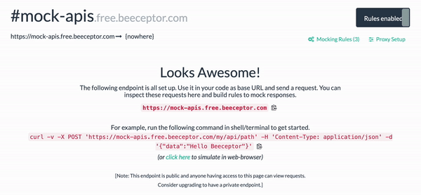 Beeceptor preview