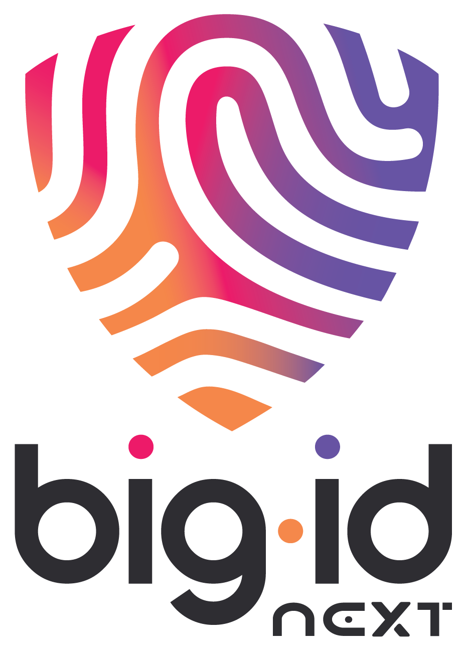 BigID preview