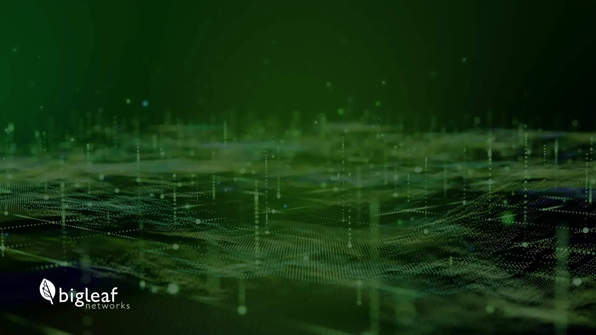 Bigleaf Networks preview