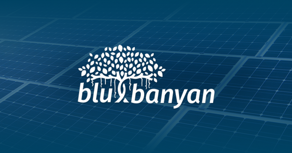 Blu Banyan preview