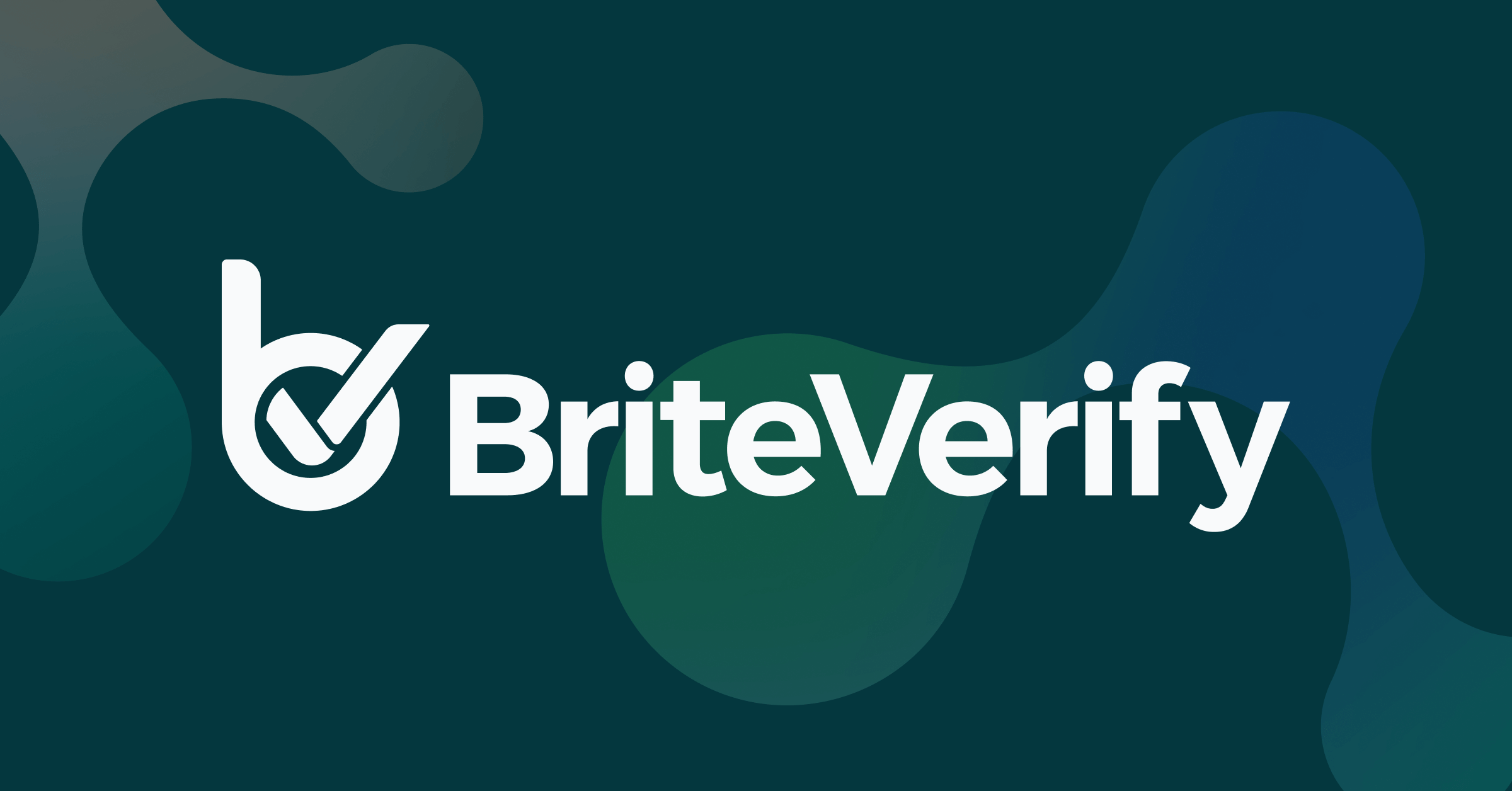 BriteVerify preview