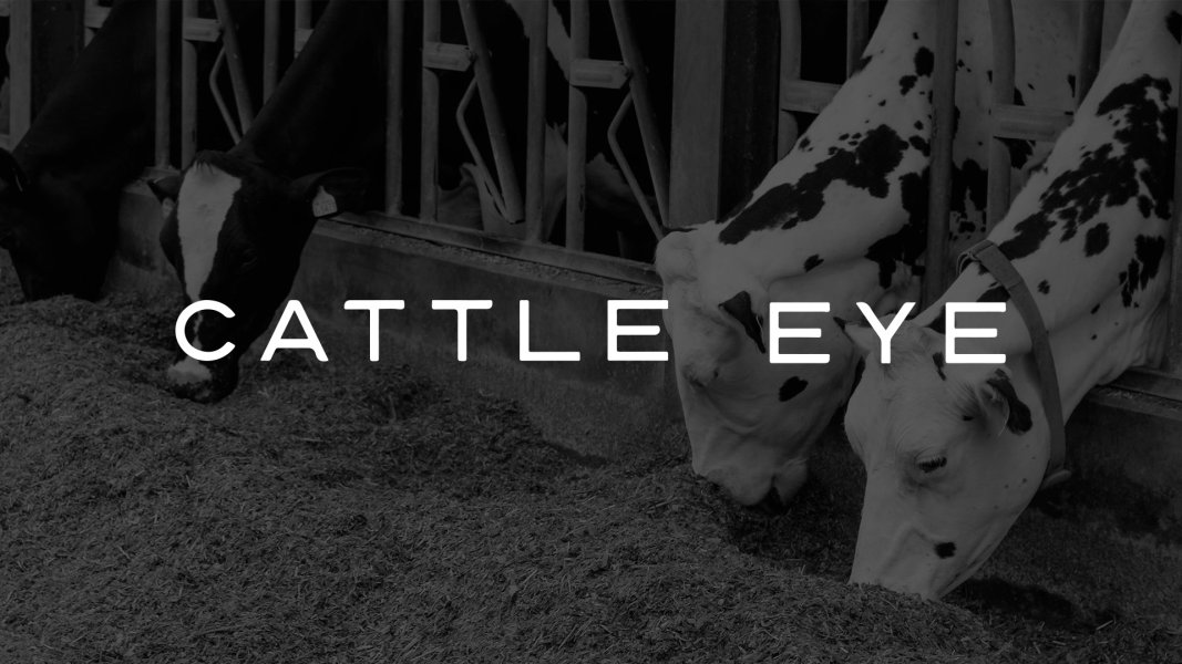 CattleEye preview