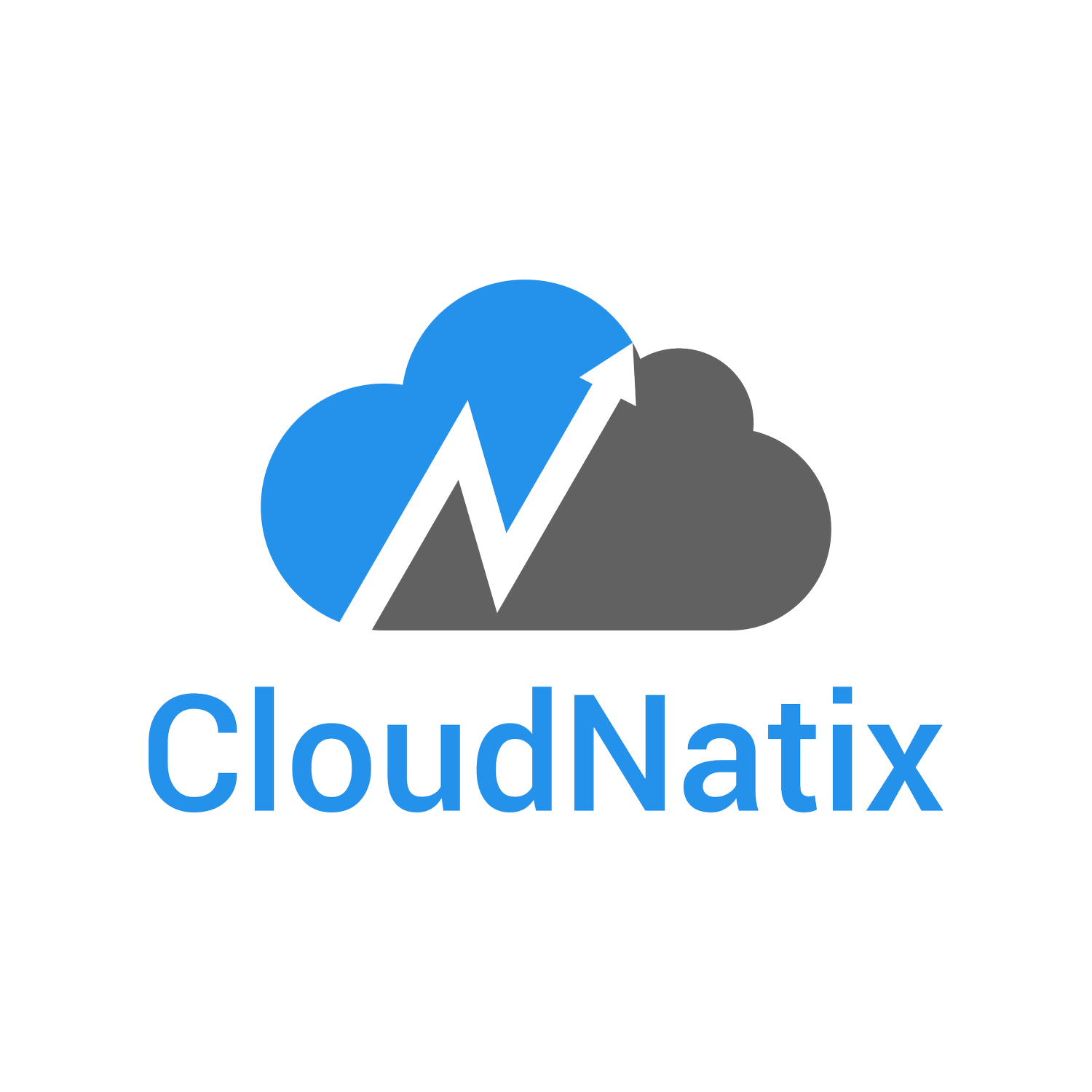CloudNatix preview