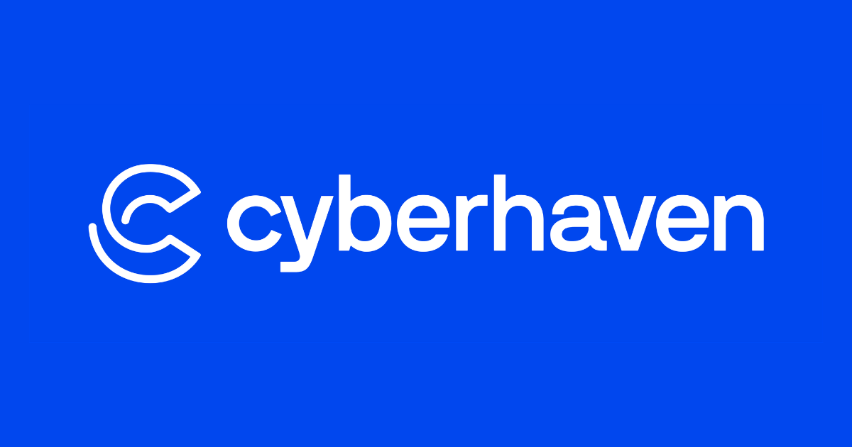 Cyberhaven preview