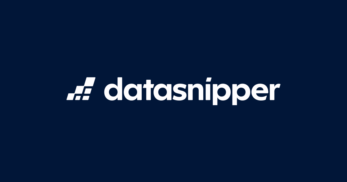 Datasnipper preview