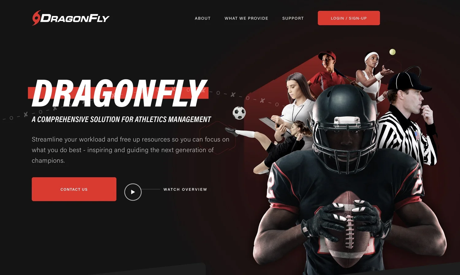 Dragonfly Max preview