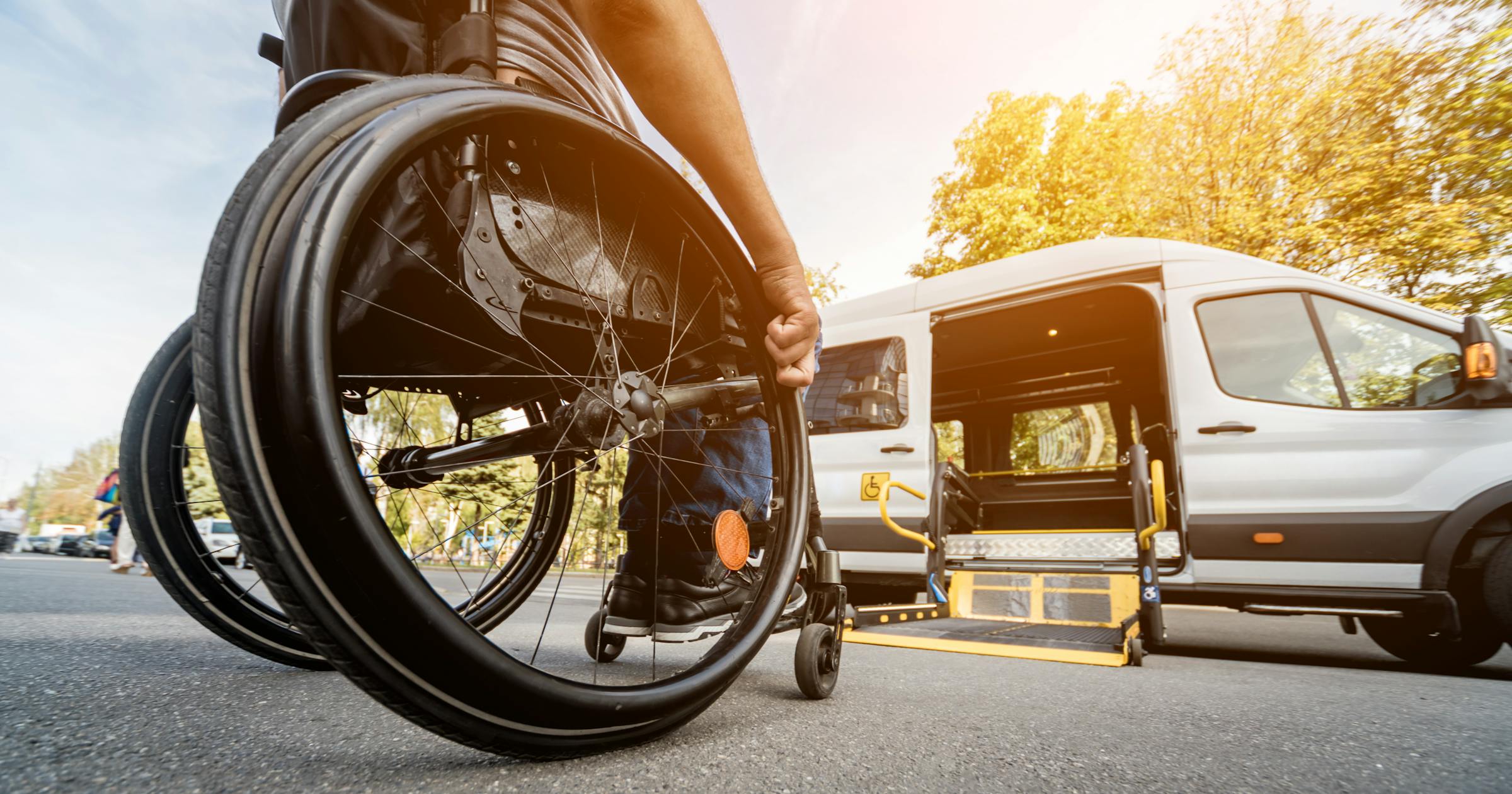 Ecolane Mobility preview