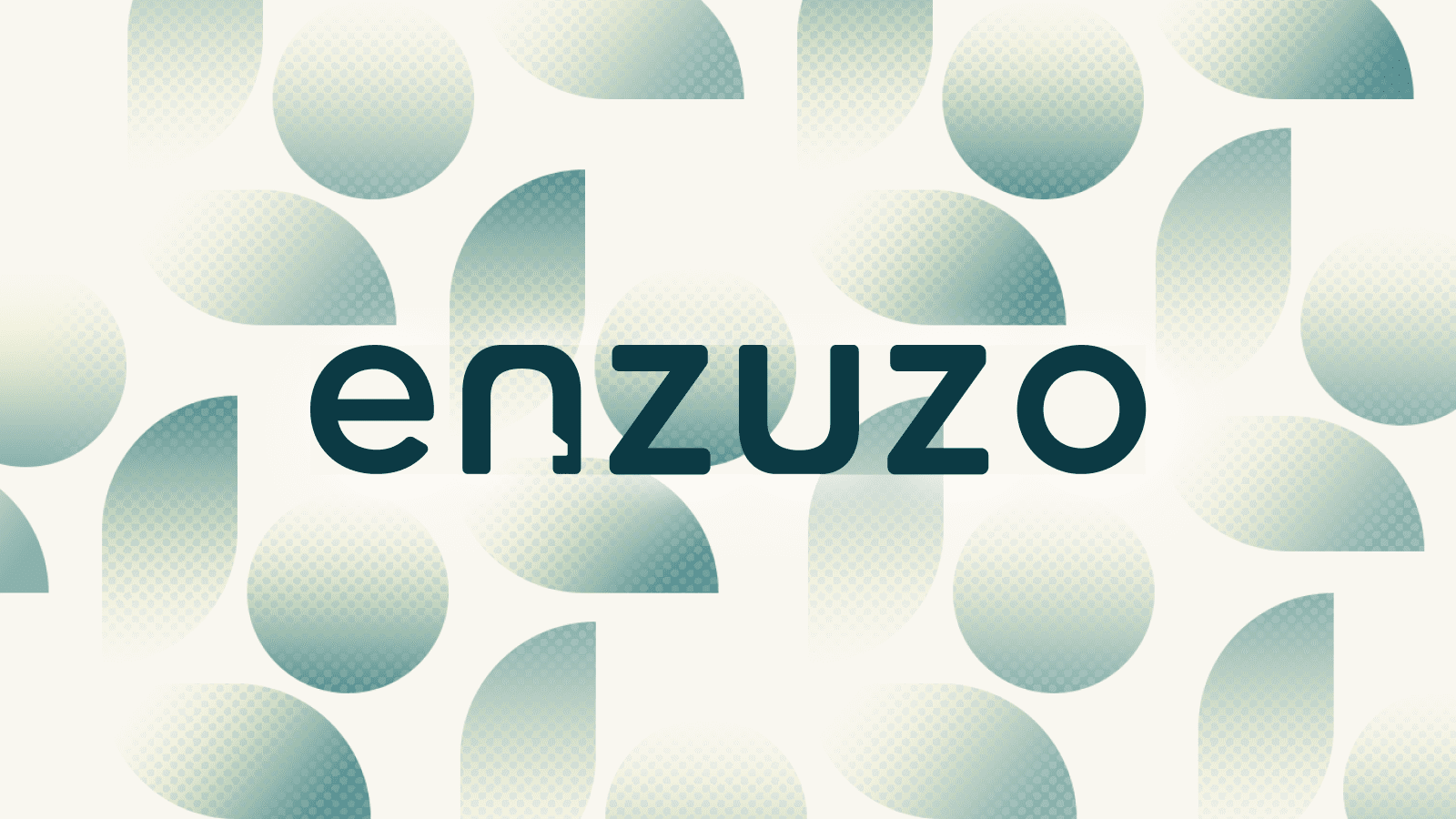 Enzuzo preview