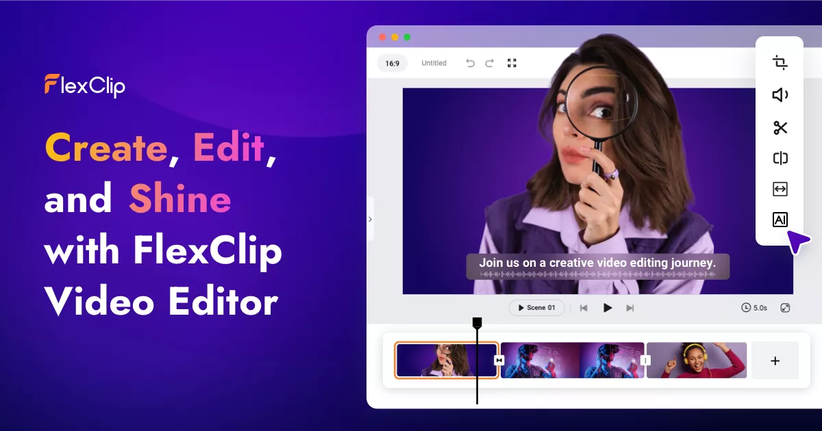FlexClip preview
