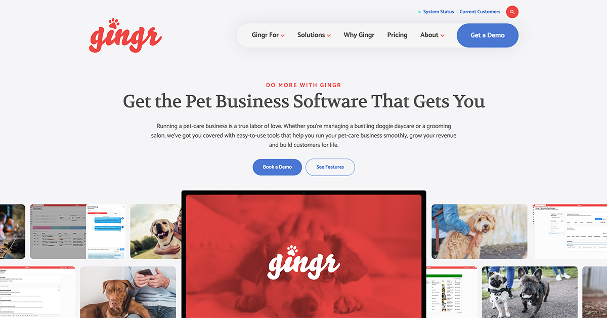 Gingr preview
