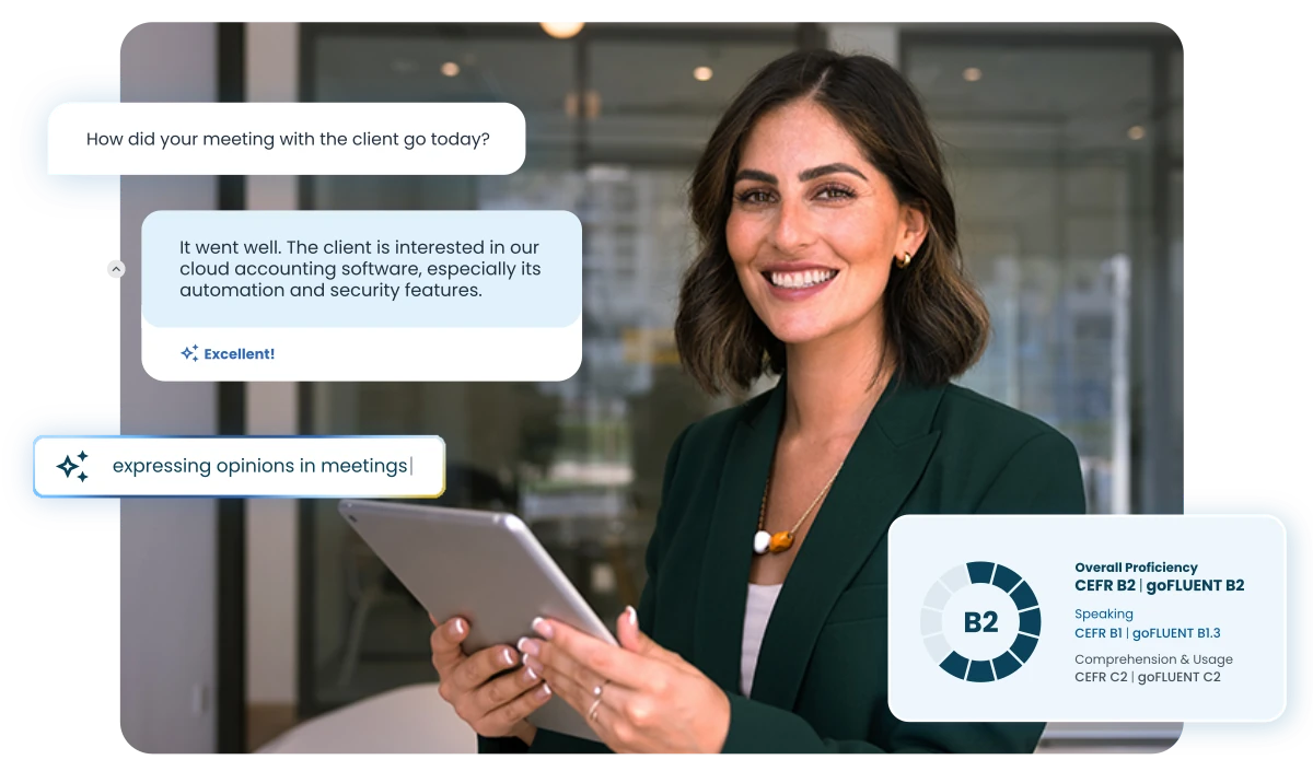 goFLUENT preview